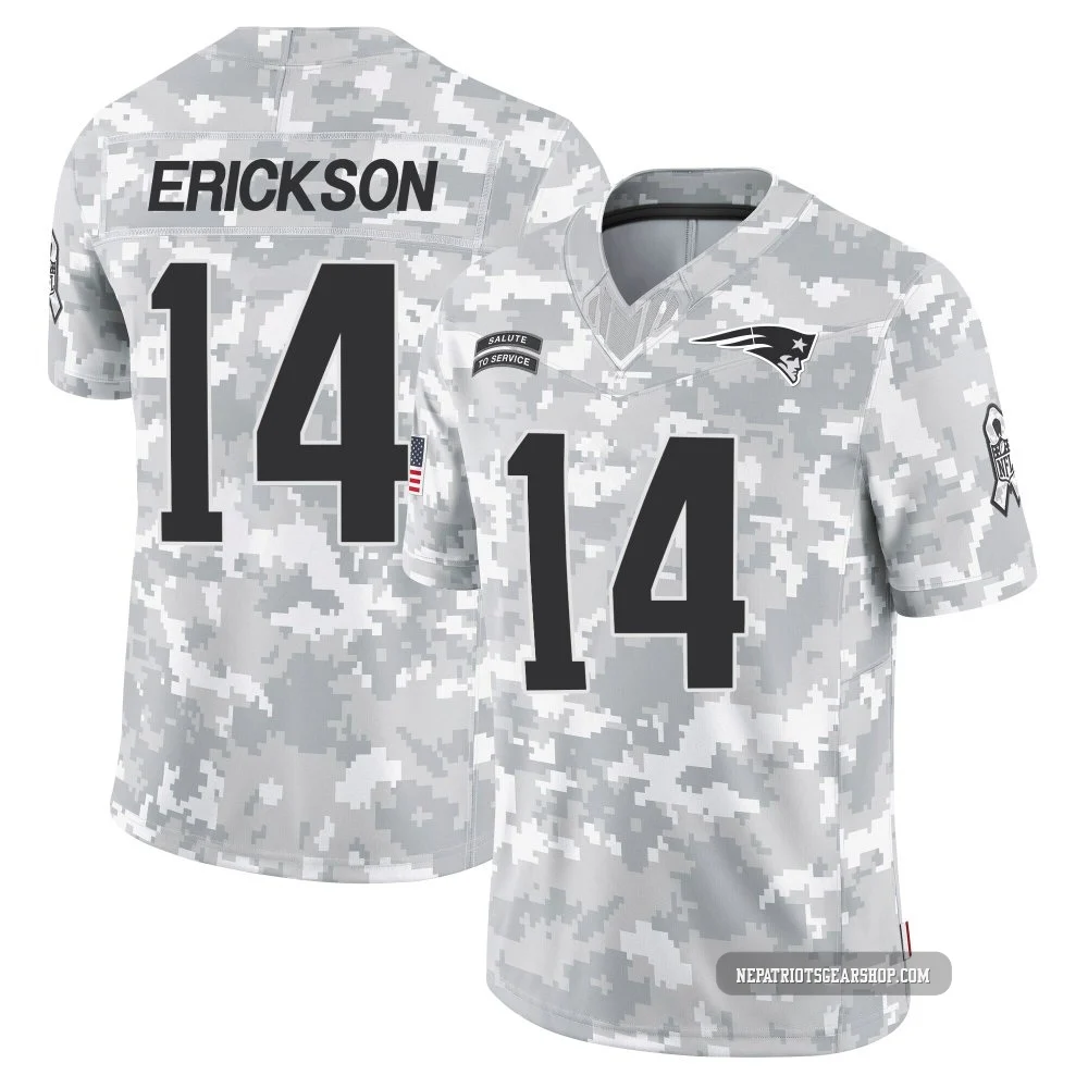 Alex Erickson ＃14 New England Patriots Limited 2024 Salute to Service Jersey - Youth Arctic Camo