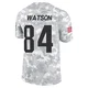 Benjamin Watson ＃84 New England Patriots Limited 2024 Salute to Service Jersey - Youth Arctic Camo