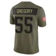 Eric Gregory ＃55 New England Patriots Limited 2025 Salute to Service Jersey - Youth Olive