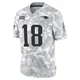 Kyle Williams ＃18 New England Patriots Limited 2024 Salute to Service Jersey - Men's Arctic Camo