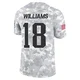 Kyle Williams ＃18 New England Patriots Limited 2024 Salute to Service Jersey - Men's Arctic Camo