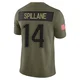 Robert Spillane ＃14 New England Patriots Limited 2025 Salute to Service Jersey - Men's Olive