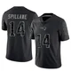 Robert Spillane ＃14 New England Patriots Limited Reflective Jersey - Youth Black