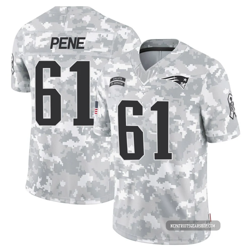 Wilfried Pene ＃61 New England Patriots Limited 2024 Salute to Service Jersey - Youth Arctic Camo